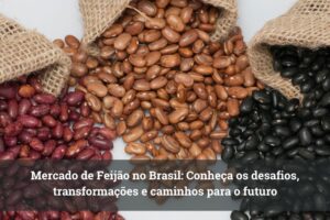 Mercado de feijão no Brasil